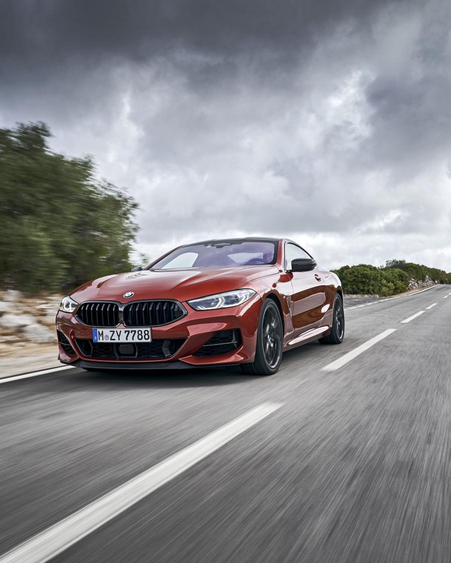  BMW M850i xDrive Carbon Package (G15) 2018 года  (WW) (фото 250 из 287)